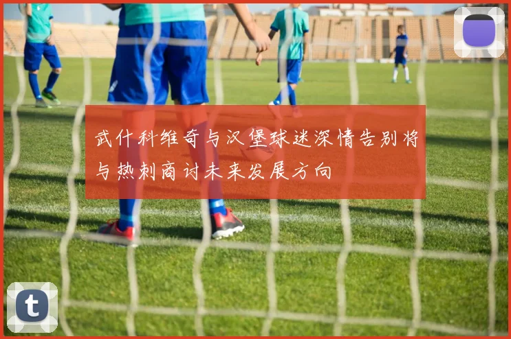 武什科维奇与汉堡球迷深情告别将与热刺商讨未来发展方向