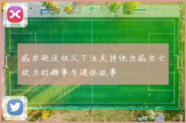 威尔逊谈祖父下注支持他为威尔士效力的趣事与退休故事