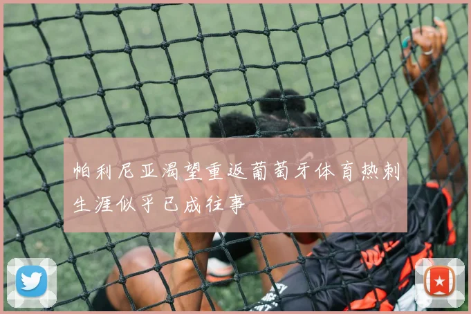 帕利尼亚渴望重返葡萄牙体育热刺生涯似乎已成往事
